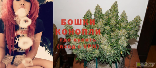 шишки Конаково