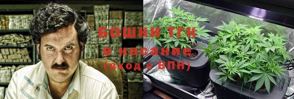 гидра Кондопога