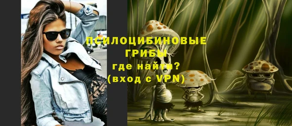 jwh Каменногорск