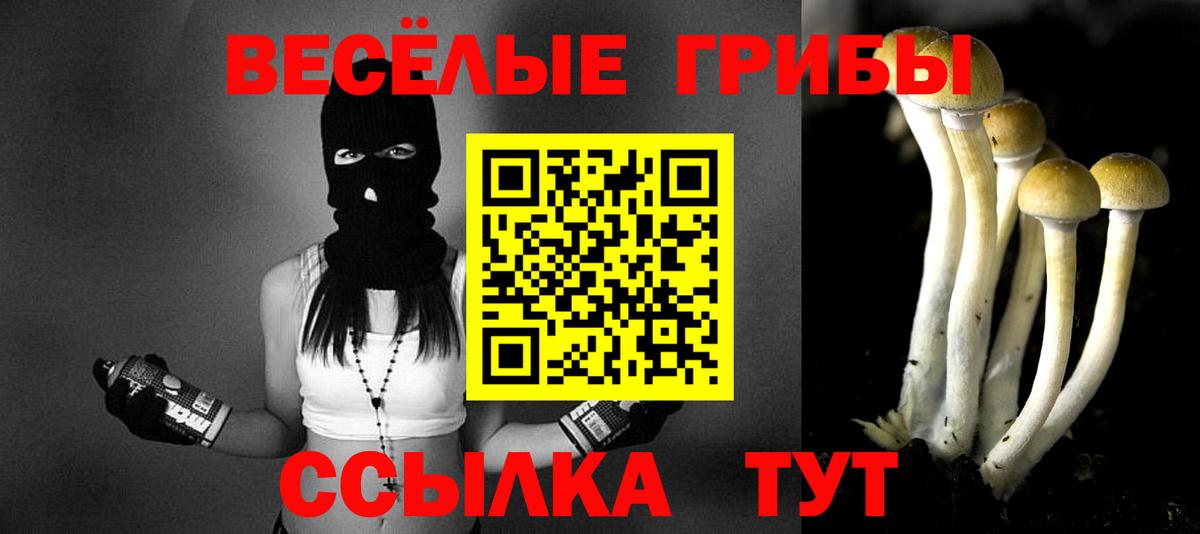 Галлюциногенные грибы MAGIC MUSHROOMS Краснокаменск